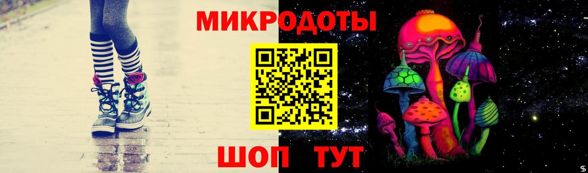 как найти   Вход с VPN  Камень-на-Оби  Псилоцибиновые грибы прущие грибы 